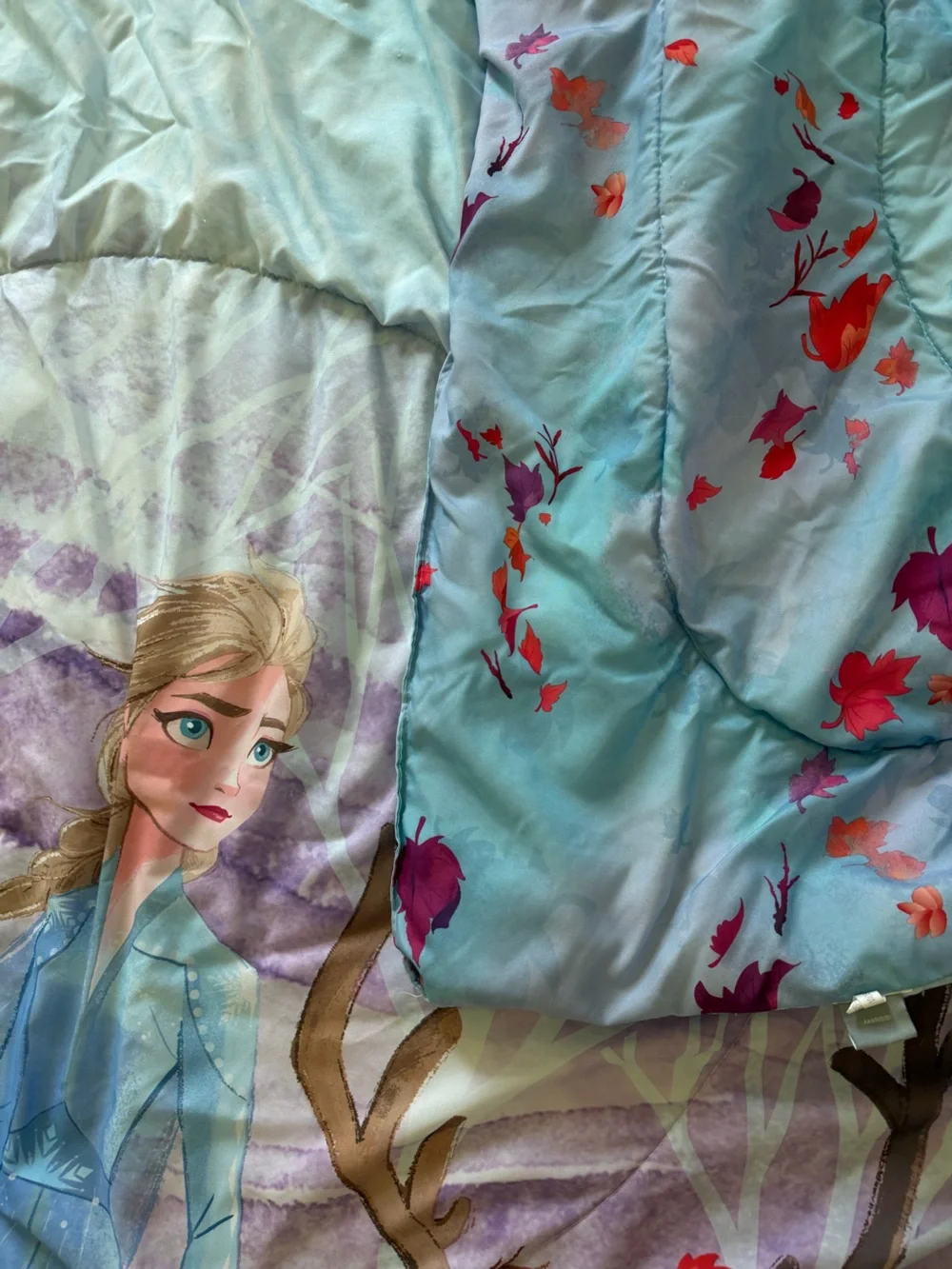 Disney Frozen 2 